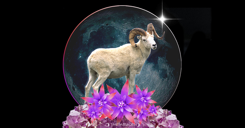 A New Moon of Healing and Courage