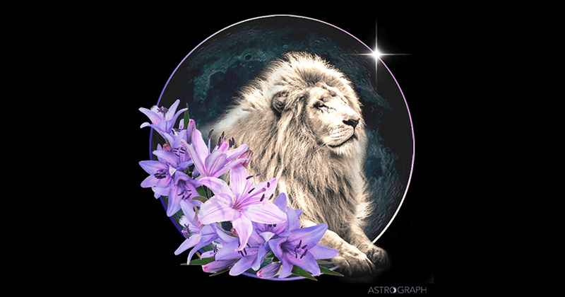 A Leo New Moon of Authentic Radiance
