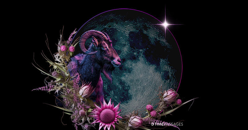 A Capricorn New Moon of Grounded Intent and Wild Inspiration