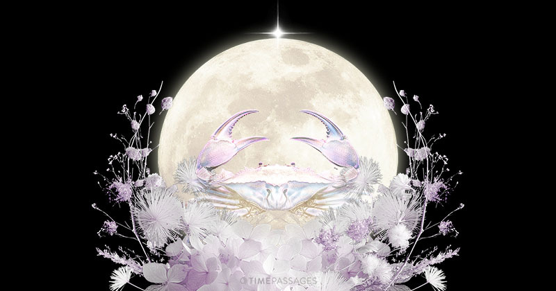 A Capricorn New Moon of Practicality and Abundance