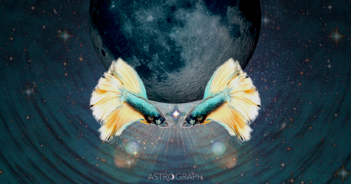 A Pisces New Moon of Surprise Enlightenment