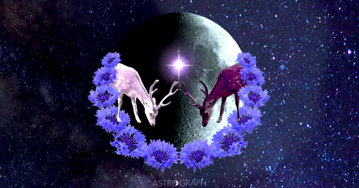 A First Quarter Moon of Connection & Divine Embrace