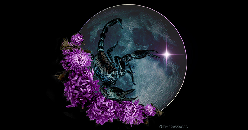 A Scorpio New Moon of Challenge and Revelation